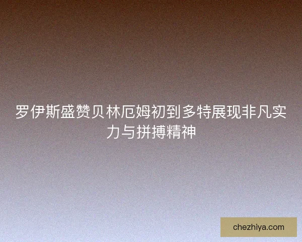罗伊斯盛赞贝林厄姆初到多特展现非凡实力与拼搏精神