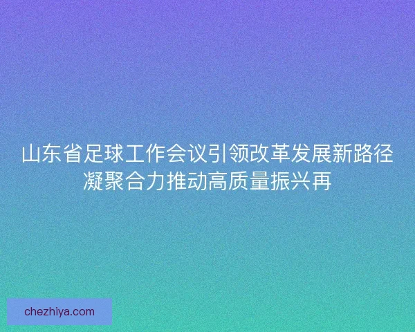 山东省足球工作会议引领改革发展新路径凝聚合力推动高质量振兴再